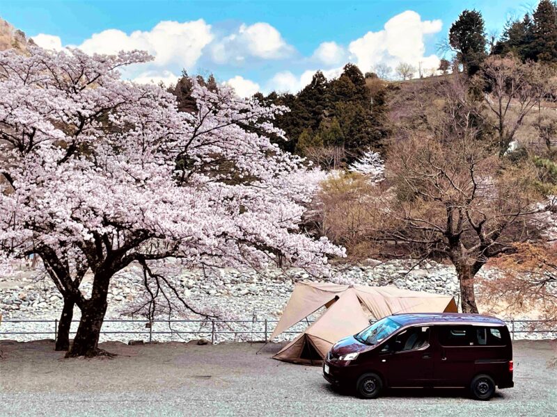 道志渓谷キャンプ場･桜