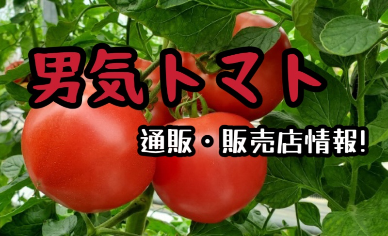 男気トマトの通販販売店情報･食彩の王国