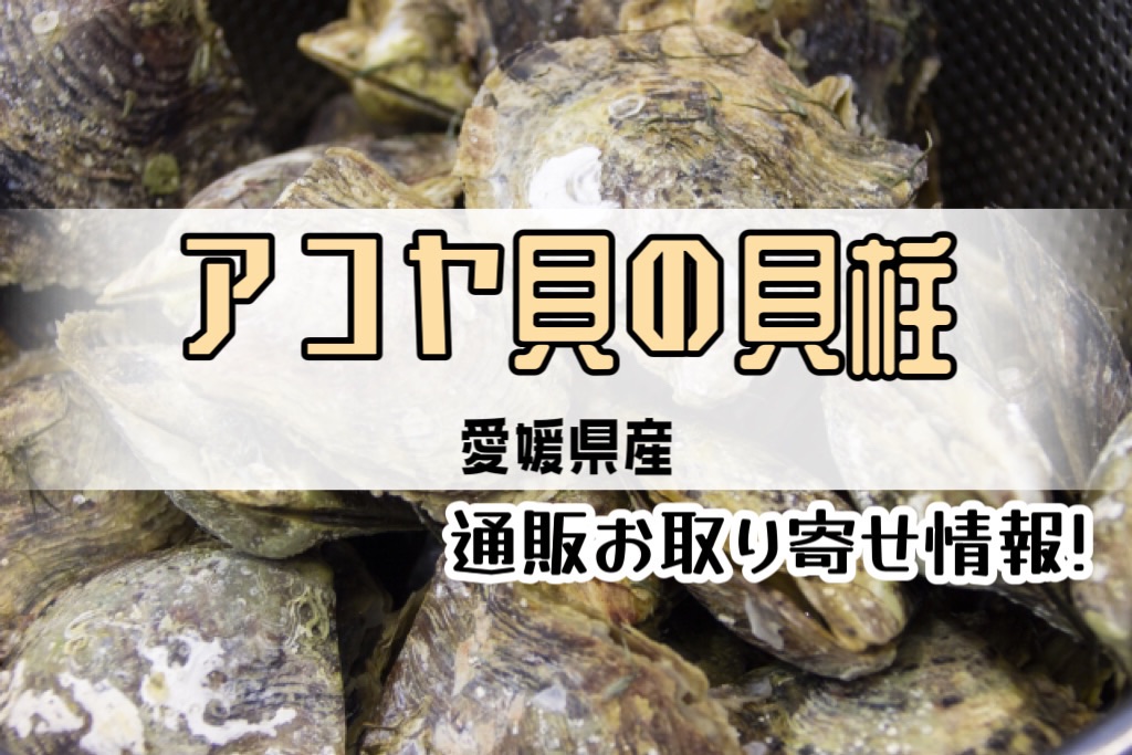 愛媛県)アコヤ貝の貝柱の通販お取り寄せ！ふるさと納税も！【青空レストラン】