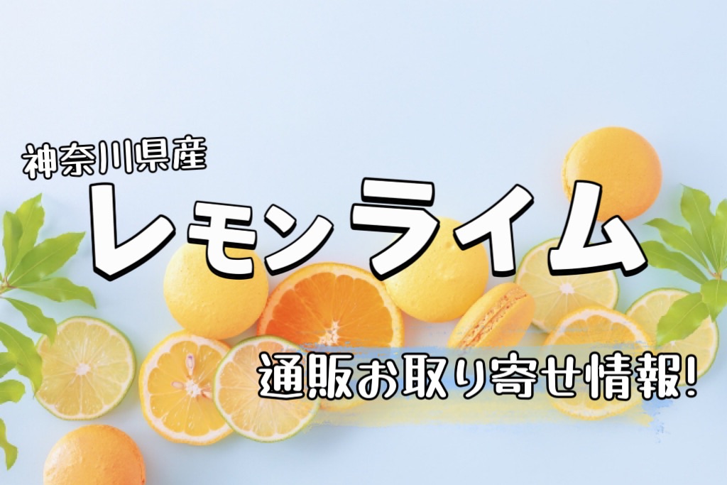 神奈川県産レモンライムの通販お取り寄せ！ふるさと納税はある？【青空レストラン】