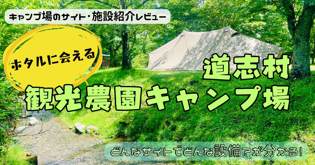 道志村観光農園キャンプ場のサイトやトイレをレビュー！ホタルを見ることができた♪