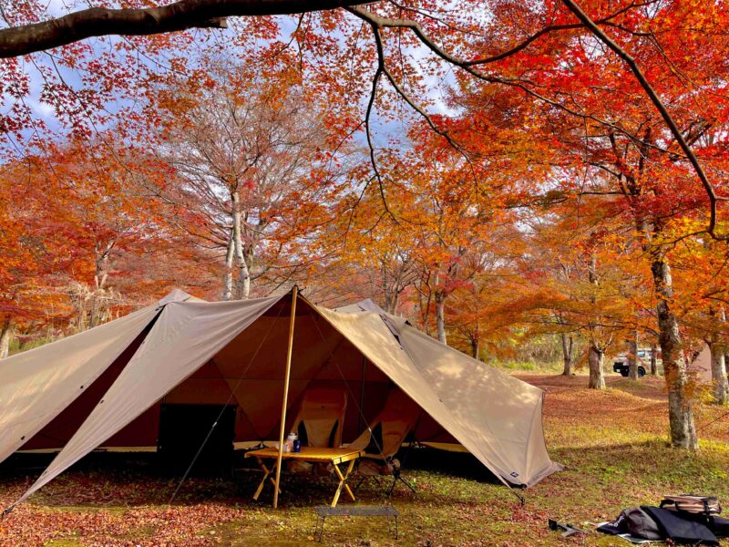 アナザプレイスキャンプ場のラージサイト