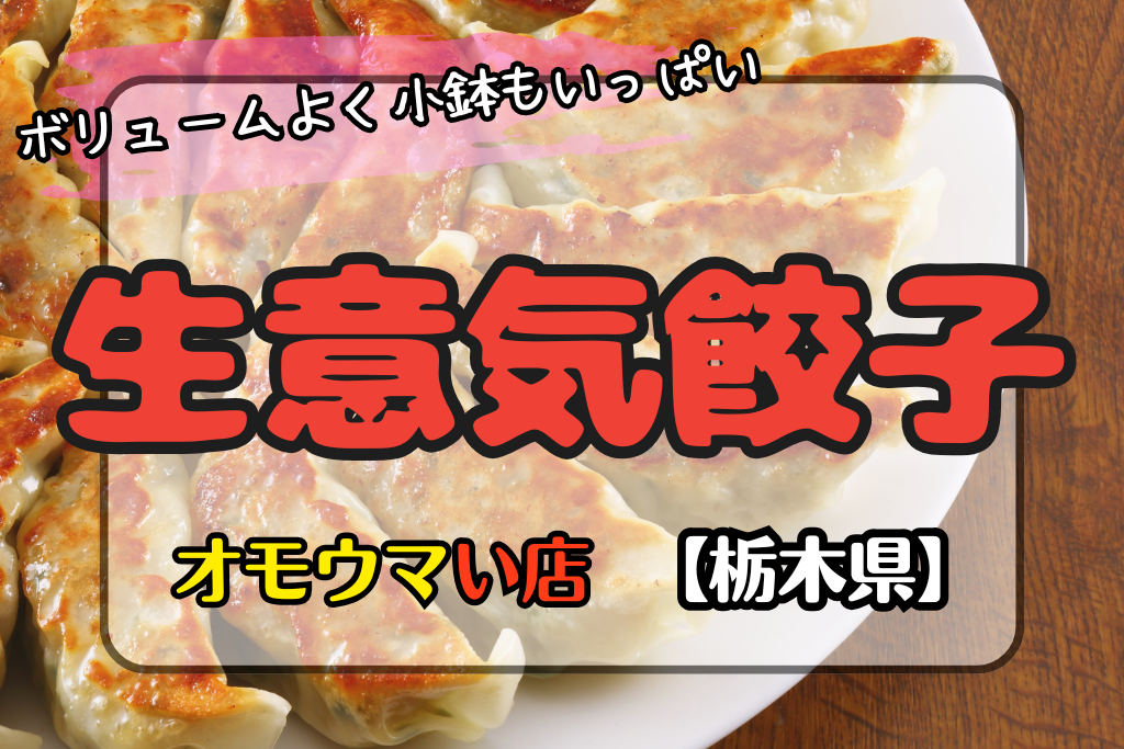 【オモウマい店•栃木県】生意気餃子は低価格で美味すぎる！