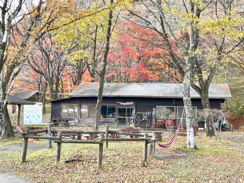 わらび平森林公園キャンプ場の遊び