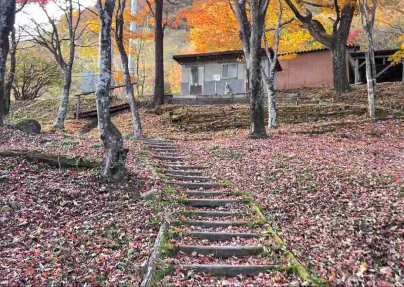 わらび平森林公園キャンプ場のトイレ