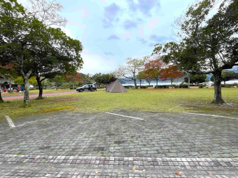 孫太郎オートキャンプ場のフリーサイト