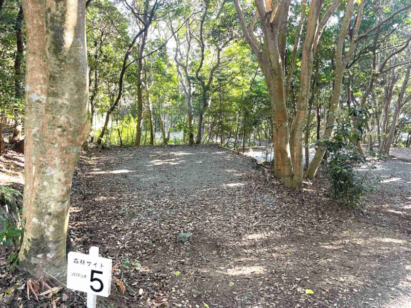 南紀串本キャンプリゾート大島の森林サイト