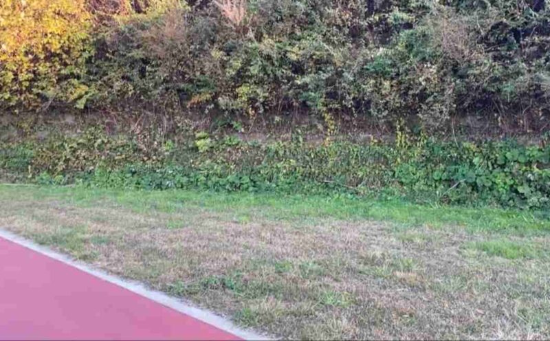 生石高原キャンプ場の12番サイト