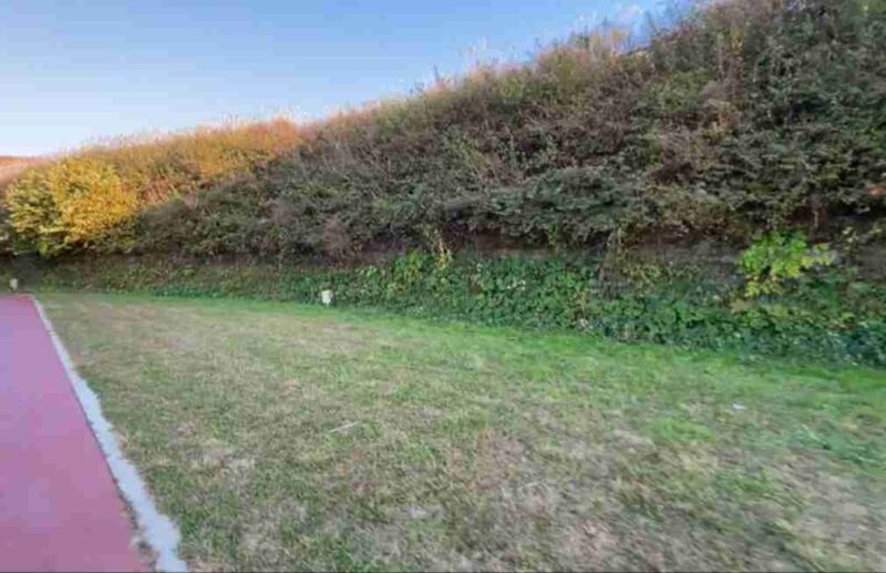 生石高原キャンプ場の11番サイト