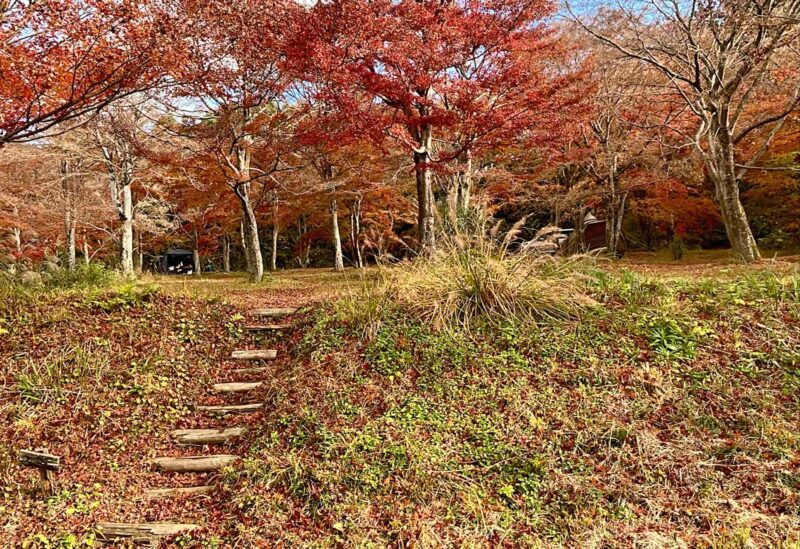 アナザプレイスキャンプ場のラージサイト