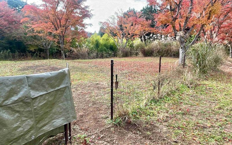 アナザプレイスキャンプ場のドッグフリーサイト