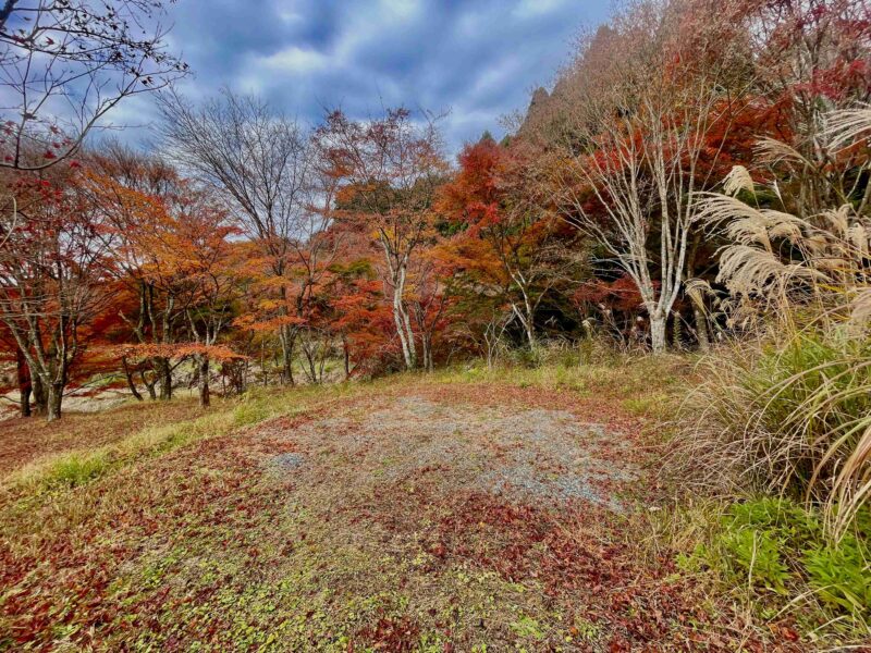 アナザプレイスキャンプ場のE2エキストラサイト