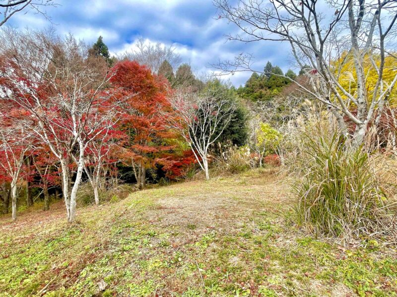 アナザプレイスキャンプ場のE4エキストラサイト