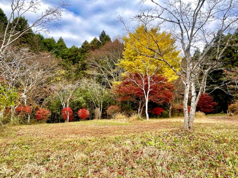 アナザプレイスキャンプ場のE5エキストラサイト