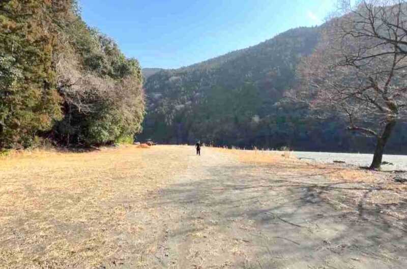 Ogawa.Camp Filed(オガワキャンプフィールド)のオートフリーサイト/奥のエリア