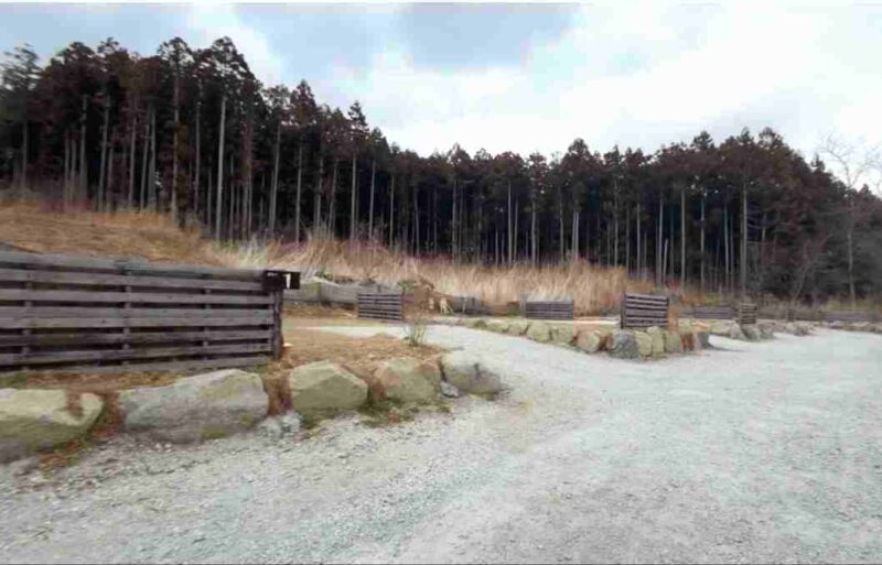 JUTE CAMP FIELD(ジュートキャンプフィールド)のスカイサイト