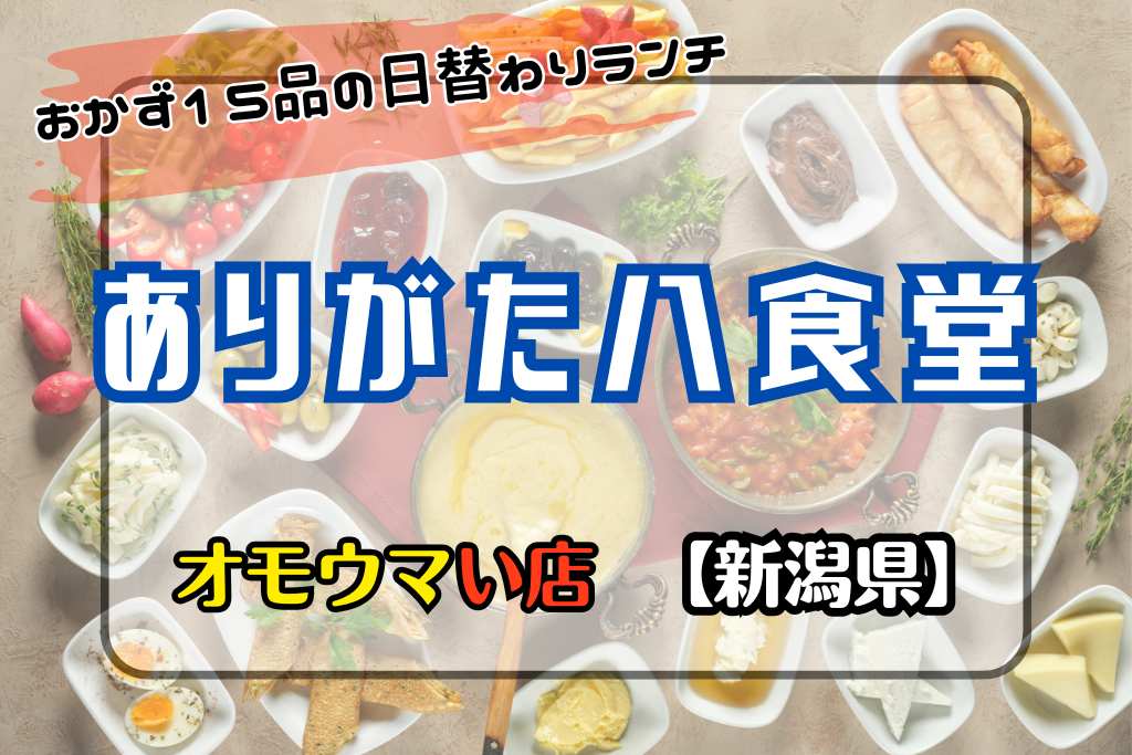 オモウマい店•新潟県】ありがた八食堂の日替わりランチは15品！